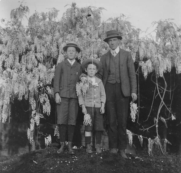 album Glass Plates from Hazelbrook